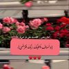 pi5oo1