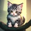 Cat Rescue