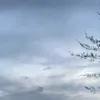 pantaistory_