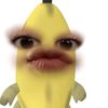 njwazs_