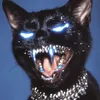 xyyyw0