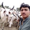 SHEHZADO❤🍀🍀❤🍀🍀❤