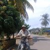 apa_____doiiii
