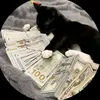 kyle_z69