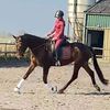 esquestrian_yosrin