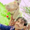 user3309381056622