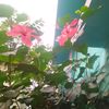 user8245270561345