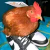 hat_user