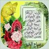 user19763254119