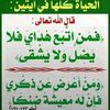 user6312191559888