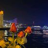 wafa_h_alhusseini