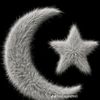 hawati231