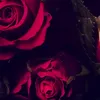 aseel.khaled90