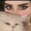5959zjsjb