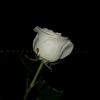 princesse1_03