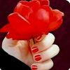 🌹🌹عٍاشُقه لُنفَسيَ🌹🌹