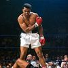 boxingyes