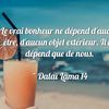 franci167.4