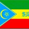 bilal.habeshw