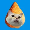 Gatoxinha, o gato coxinha