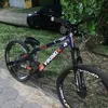 _igor.33