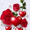 nishachaudhary0125