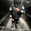gdizzy_