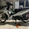 an.nguyen0495