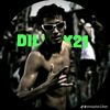 dilesx