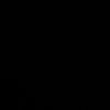 balsamicvinnn111