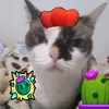 momazos_spike777