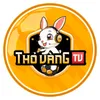 THỎ VÀNG TOP