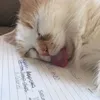 hlni_.ojafx