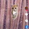 user823868287776