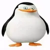 dasheprapory