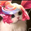 meoomeo_1007