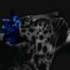itsjust__ashley