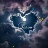 paroo8739