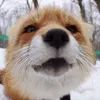 bcbwtdiacvb