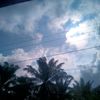 tasnim110567