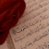 taqwa_nasser_7