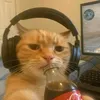 wh0op_rhy