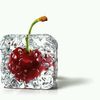 cherry11981