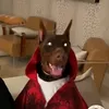djwusksjd