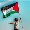 ابن فلسطين 🇵🇸✌