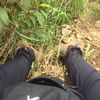 ipanyy_