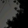 evam_gaxl