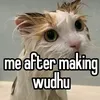 abdulpetailan