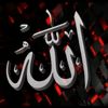 user4318188439627