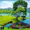 lagahawas